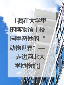 藏在大学里的博物馆丨校园里奇妙的“动物世界”——走进河北大学博物馆