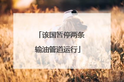 该国暂停两条输油管道运行