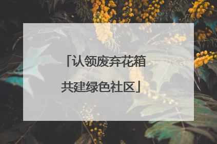 认领废弃花箱 共建绿色社区