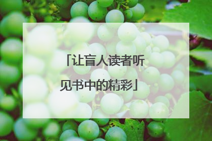 让盲人读者听见书中的精彩
