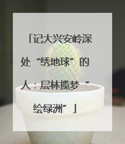 记大兴安岭深处“绣地球”的人：层林揽梦“绘绿洲”