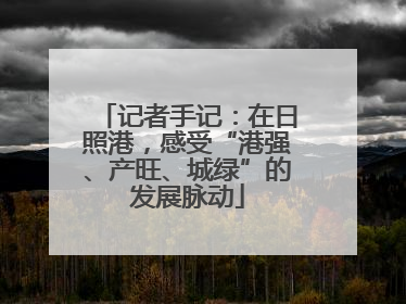 记者手记：在日照港，感受“港强、产旺、城绿”的发展脉动