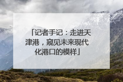 记者手记：走进天津港，窥见未来现代化港口的模样
