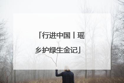 行进中国丨瑶乡护绿生金记