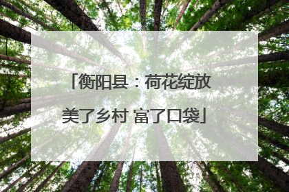 衡阳县：荷花绽放 美了乡村 富了口袋