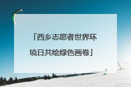 西乡志愿者世界环境日共绘绿色画卷