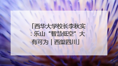 西华大学校长李秋实：乐山“智慧低空”大有可为｜西望四川