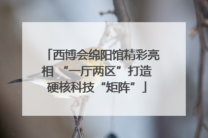 西博会绵阳馆精彩亮相 “一厅两区”打造硬核科技“矩阵”