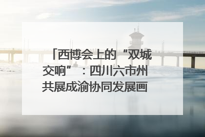 西博会上的“双城交响”：四川六市州共展成渝协同发展画卷｜西博视界