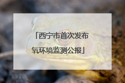 西宁市首次发布氧环境监测公报