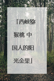 西峡猕猴桃 中国人的阳光金果