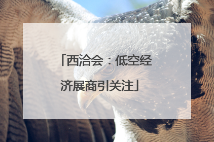 西洽会：低空经济展商引关注