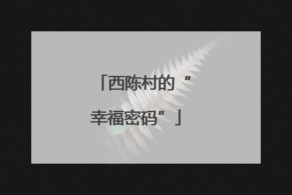 西陈村的“幸福密码”