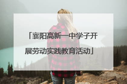襄阳高新一中学子开展劳动实践教育活动