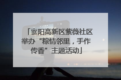 襄阳高新区紫薇社区举办“粽情邻里，手作传香”主题活动