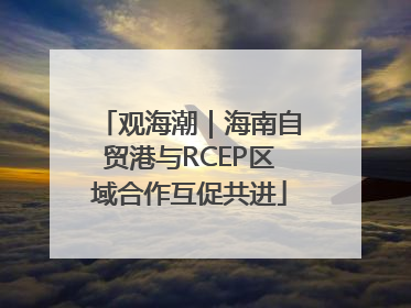 观海潮｜海南自贸港与RCEP区域合作互促共进