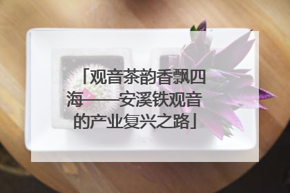 观音茶韵香飘四海——安溪铁观音的产业复兴之路