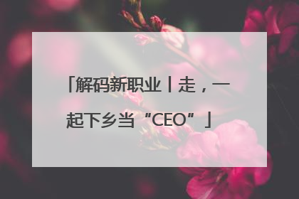 解码新职业丨走，一起下乡当“CEO”