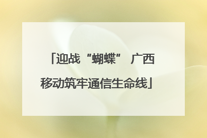 迎战“蝴蝶” 广西移动筑牢通信生命线