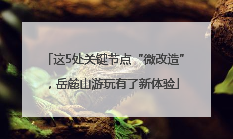 这5处关键节点“微改造”，岳麓山游玩有了新体验