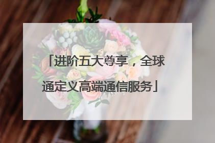 进阶五大尊享，全球通定义高端通信服务