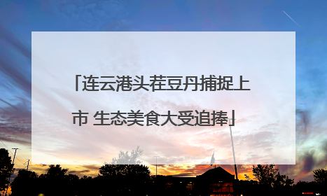 连云港头茬豆丹捕捉上市 生态美食大受追捧