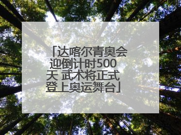 达喀尔青奥会迎倒计时500天 武术将正式登上奥运舞台