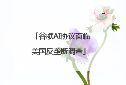谷歌AI协议面临美国反垄断调查