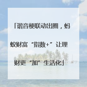 谐音梗联动出圈，蚂蚁财富“指数+”让理财更“加”生活化