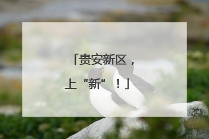 贵安新区，上“新”！