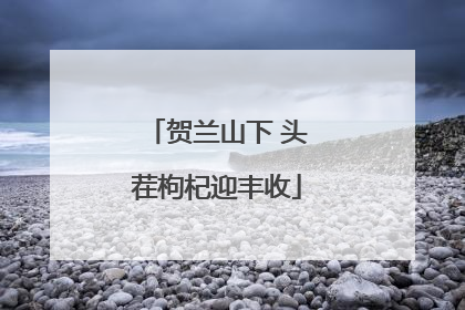 贺兰山下 头茬枸杞迎丰收