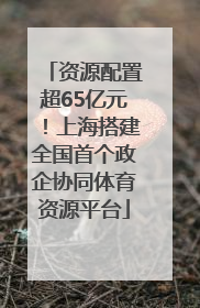 资源配置超65亿元！上海搭建全国首个政企协同体育资源平台
