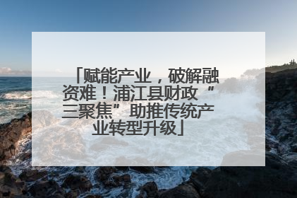 赋能产业，破解融资难！浦江县财政“三聚焦”助推传统产业转型升级