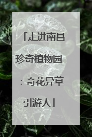 走进南昌珍奇植物园：奇花异草引游人