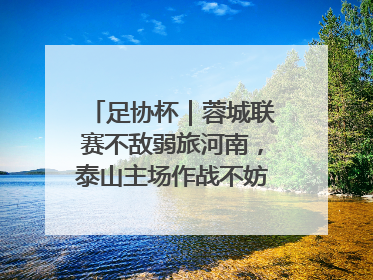足协杯｜蓉城联赛不敌弱旅河南，泰山主场作战不妨“抄作业”