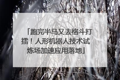 跑完半马又去格斗打擂！人形机器人技术试炼场加速应用落地