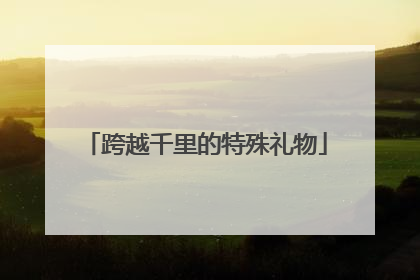 跨越千里的特殊礼物