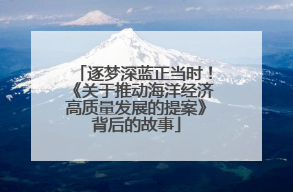 逐梦深蓝正当时！《关于推动海洋经济高质量发展的提案》背后的故事