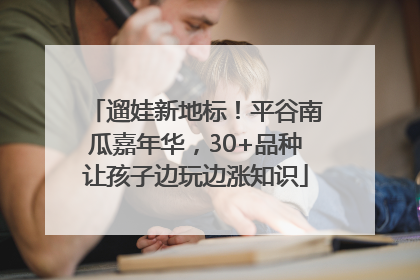 遛娃新地标！平谷南瓜嘉年华，30+品种让孩子边玩边涨知识