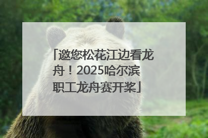 邀您松花江边看龙舟！2025哈尔滨职工龙舟赛开桨