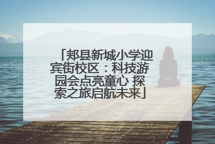 郏县新城小学迎宾街校区：科技游园会点亮童心 探索之旅启航未来