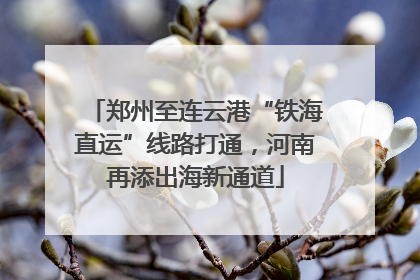 郑州至连云港“铁海直运”线路打通，河南再添出海新通道