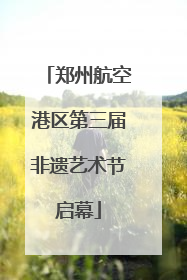 郑州航空港区第三届非遗艺术节启幕