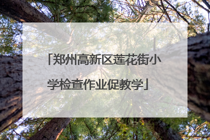 郑州高新区莲花街小学检查作业促教学