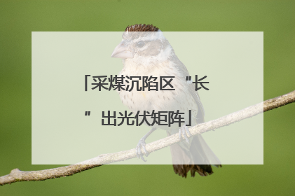采煤沉陷区“长”出光伏矩阵
