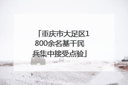 重庆市大足区1800余名基干民兵集中接受点验