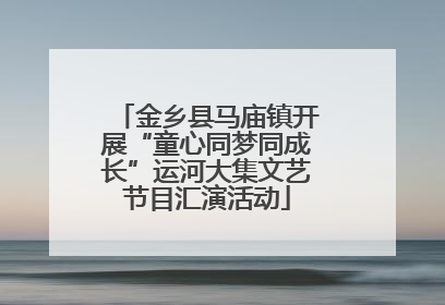 金乡县马庙镇开展“童心同梦同成长”运河大集文艺节目汇演活动