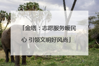金塔：志愿服务暖民心 引领文明好风尚