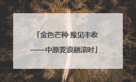 金色芒种·豫见丰收——中原麦浪翻滚时