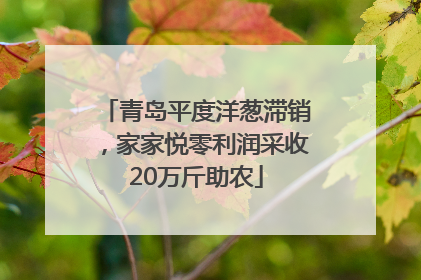 青岛平度洋葱滞销，家家悦零利润采收20万斤助农